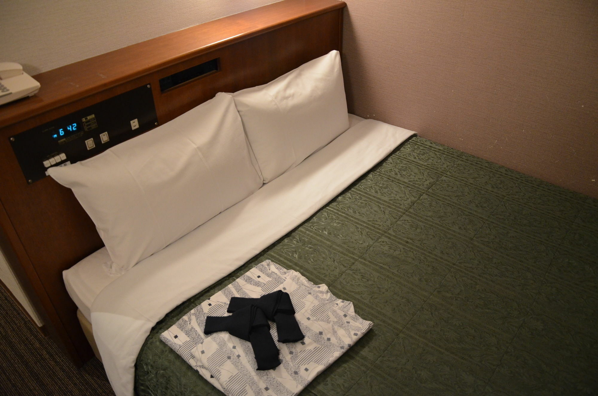 Hikone Biwako Hotel Bagian luar foto